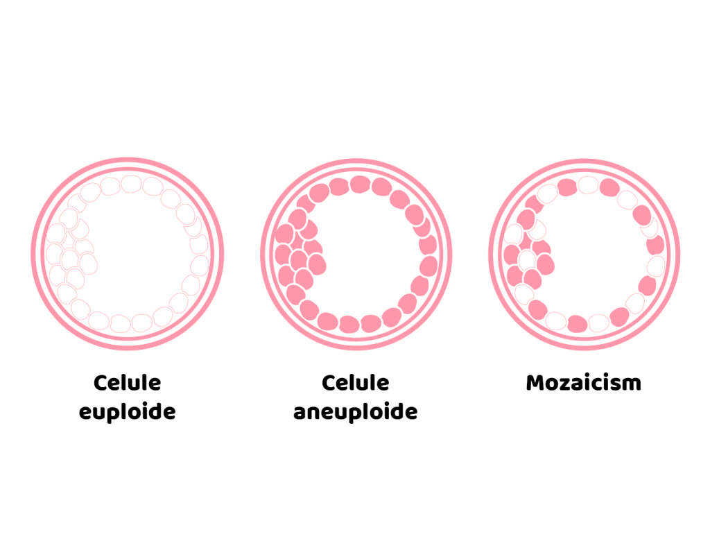 Testarea-genetica-preimplantationala-pentru-aneuploidie-KKYz